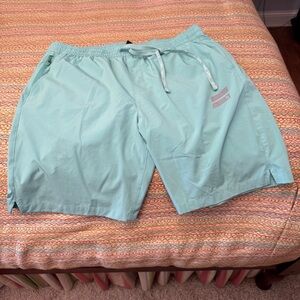 Hurley Men's Exist Slash Logo Shorts in a mint green colorway Size XL